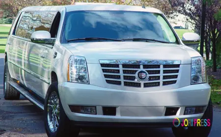 Explore Our Variety of Luxury Fleets for Any Celebration