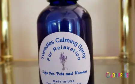 Show Affection and Support to Your Pets by Practicing Natural Goodness