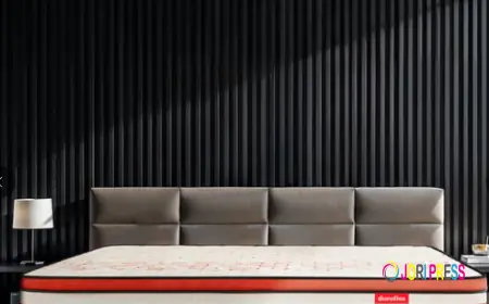 All You Need to Know About Spring Mattress & Spring Bed Mattress Price