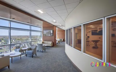 Interior Painting San Diego: Transform Your Space with a Trusted Painter in San Diego CA