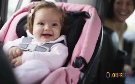 Choosing the Right Ride for Stress-Free Family Journeys in Melbourne