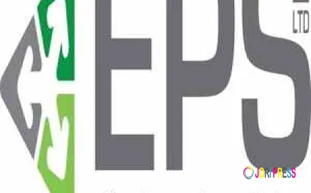 Maximizing ROI with Expert Project Management Services