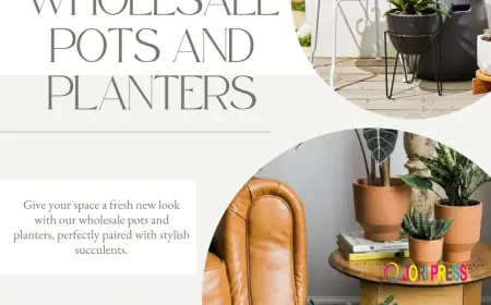 Ceramics and Resin Planters: A Journey Through Tradition and Modern Utility in Khurja