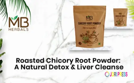 Roasted Chicory Root Powder: A Natural Detox & Liver Cleanse | MB Herbals