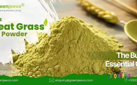 What Bulk Buyers Must Know Before Choosing Organic Wheat Grass Juice Powder