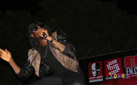 “How I Went From a Failed Musician to an International Star,” Brian Reveals