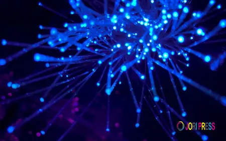 PRP Treatment in Bangalore: A Natural Solution for Skin and Hair Rejuvenation