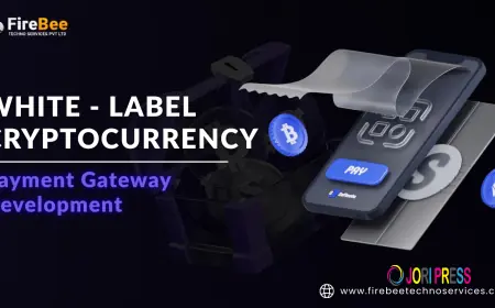 How to Choose the Best White Label Crypto Payment Gateway Development Provider In 2025