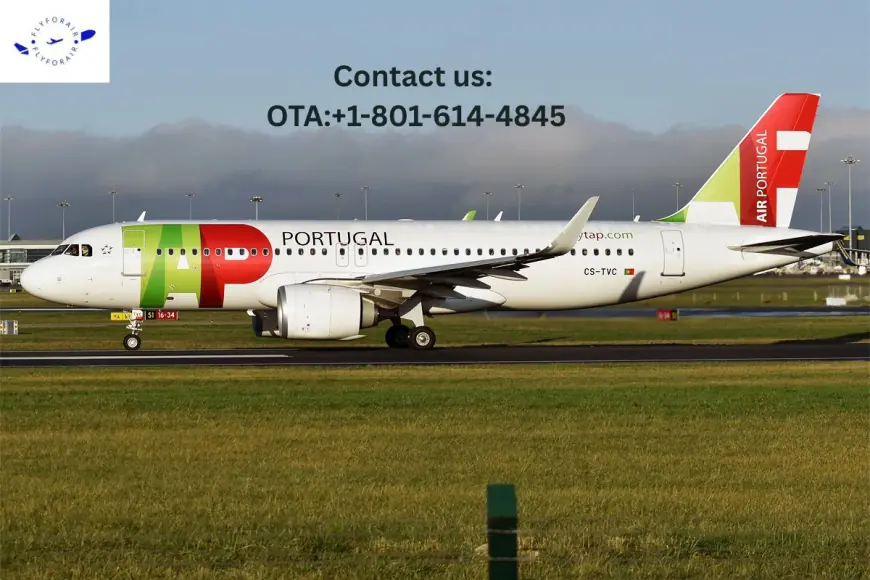 How to Request the Tap Portugal Upgrade? Best Ideas Are Inside