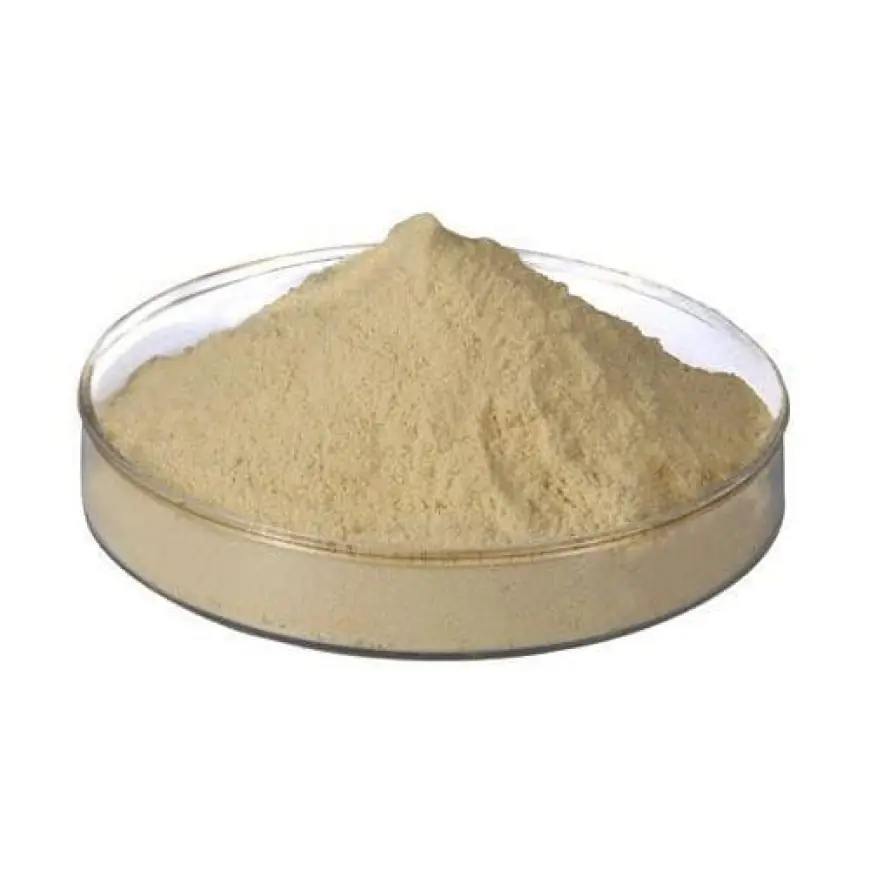 Fish Protein Isolate Market Dynamics Shaped by Consumer Health Trends and Sustainable Protein Innovations