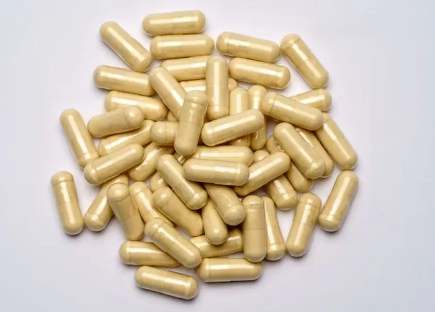 United States Empty Capsules Market Size Forecast Report – Demand Growth Outlook 2025–2033
