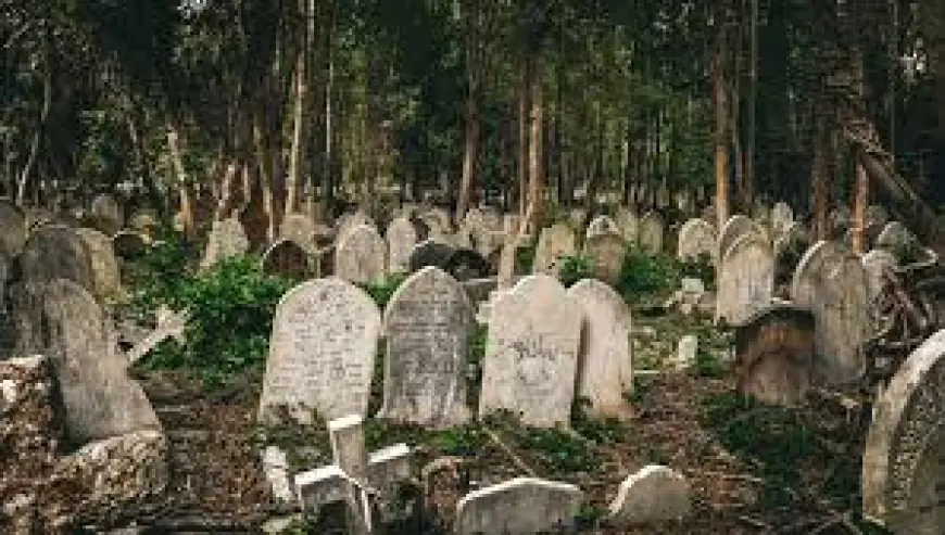 What I Discovered at My Uncle’s Graveyard Was Truly Shocking