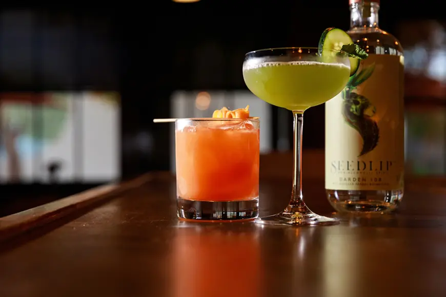 Zero-Proof Drinks Wholesale: A Guide for Distributors and Retailers