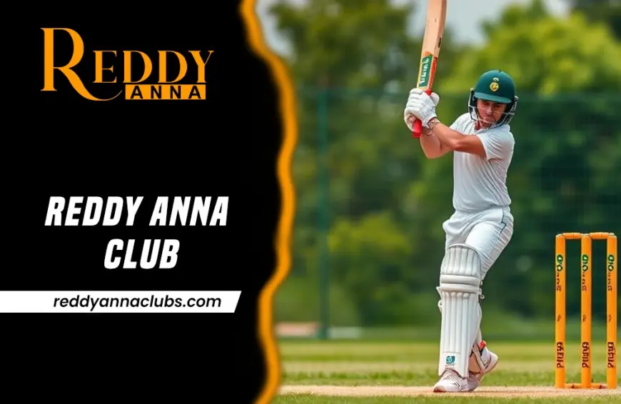 Reddy Anna Club for Responsible Bettor: Safe, Smart, and Fun