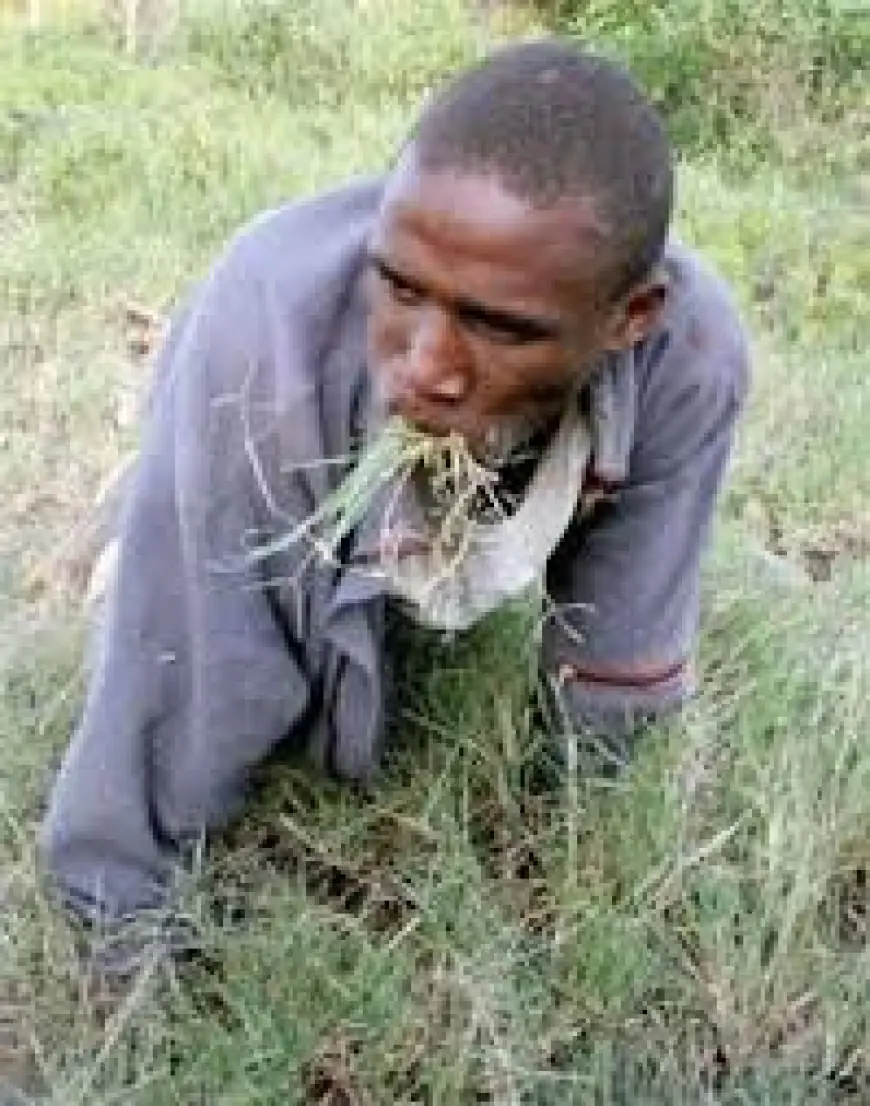 Drama as Three Suspected Thieves Found Eating Grass and Soap