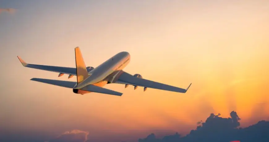 Your Guide to Flair Airlines Toronto Pearson Airport Terminal