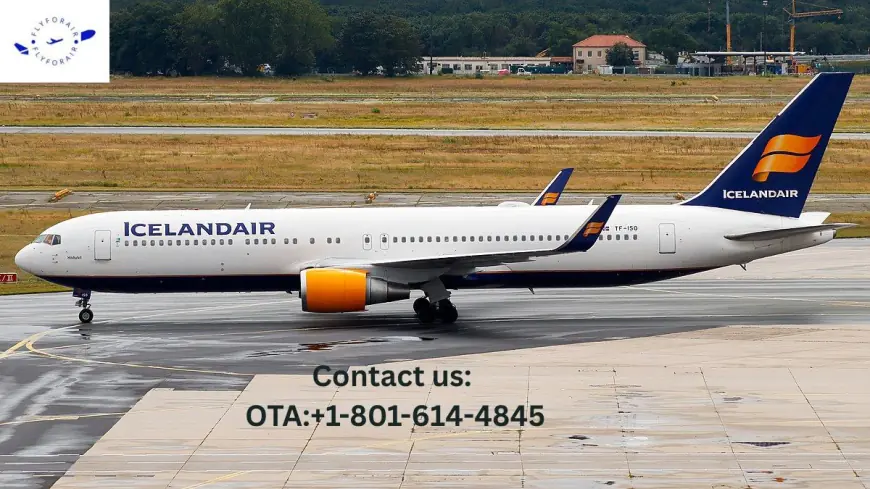 How Do I Process Icelandair Cancel Flight?