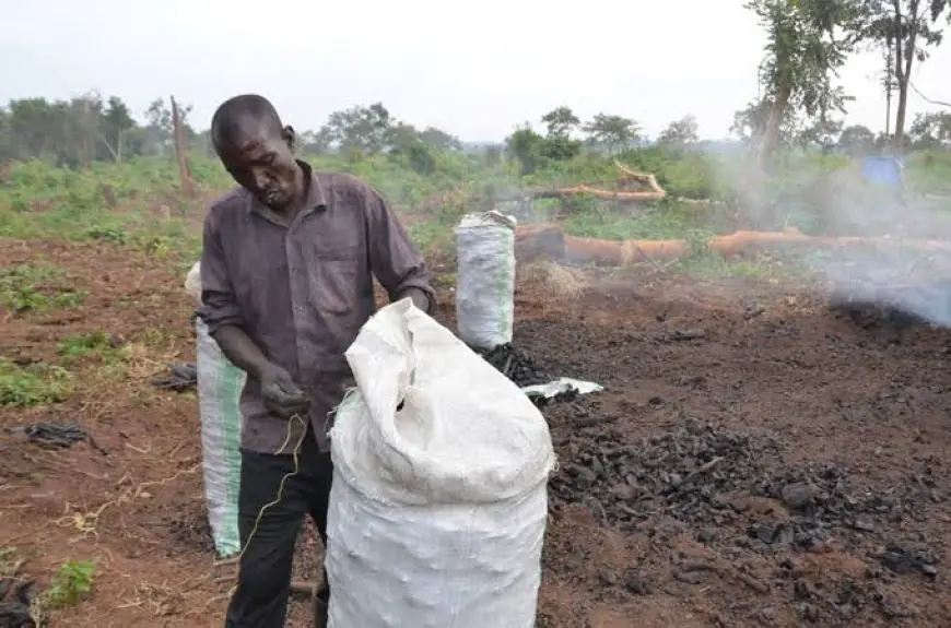 From Charcoal Hustler to Kampala Tycoon, The Inspiring Journey of Mr. James