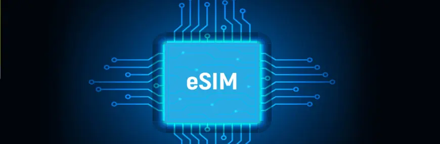 Avoiding Roaming Fees in the USA: The Complete eSIM Guide