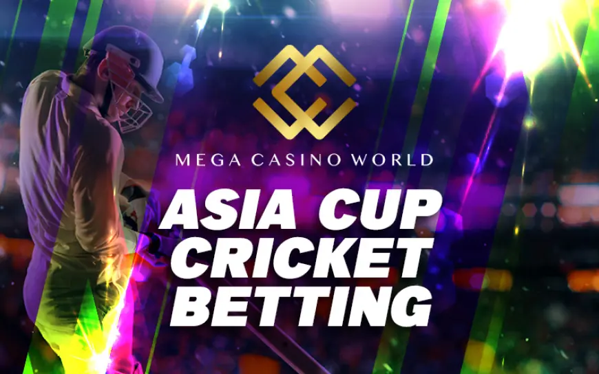 How Field Hockey Betting Works: Rules, Odds, and Markets Explained