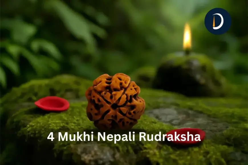 4 Mukhi Nepali Rudraksha For Speech And Confidence