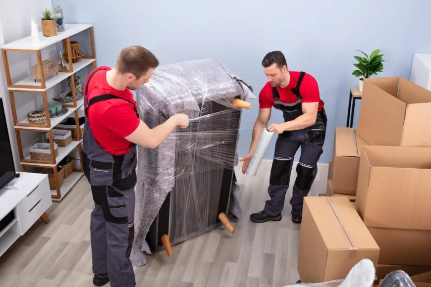 Scope Removal Expands Expert Removal and Storage Services in London