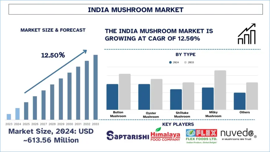 India Mushroom Market Size & Share (2025-2033) | UnivDatos