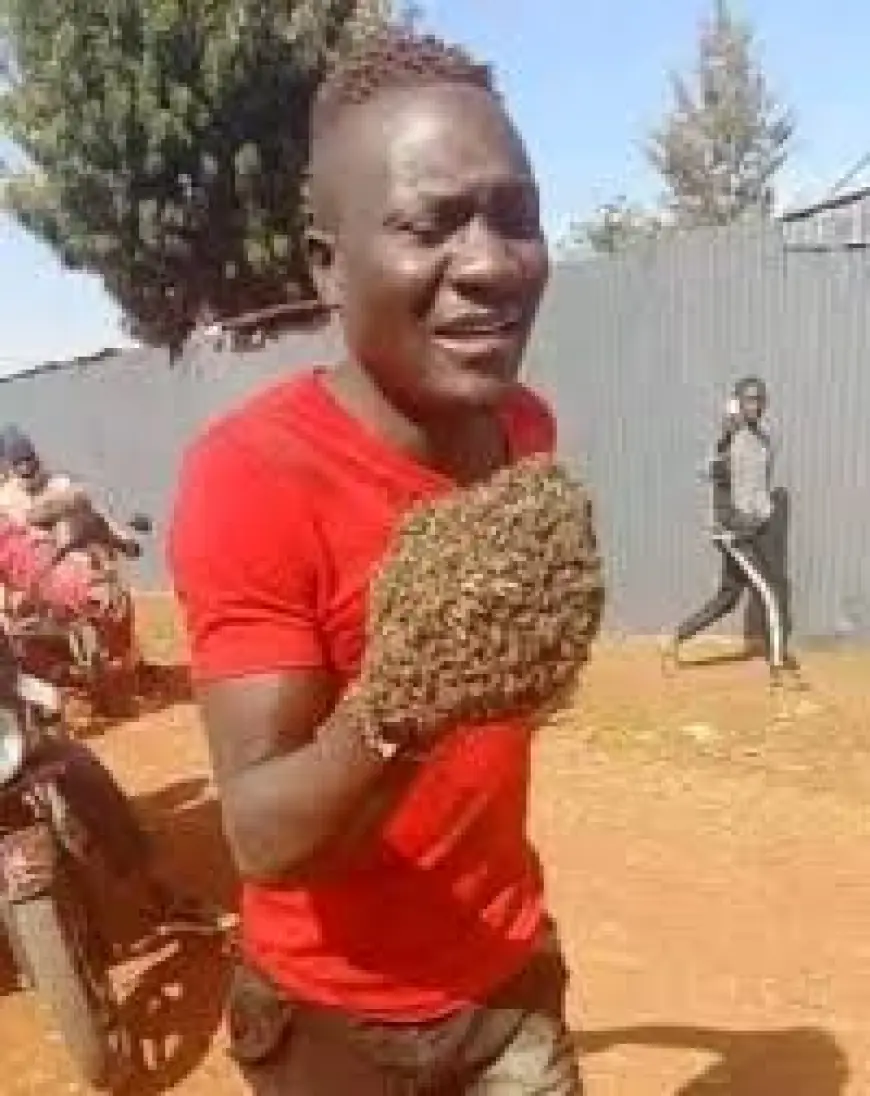“Bees Led Thieves to My Shop,” Man Recalls