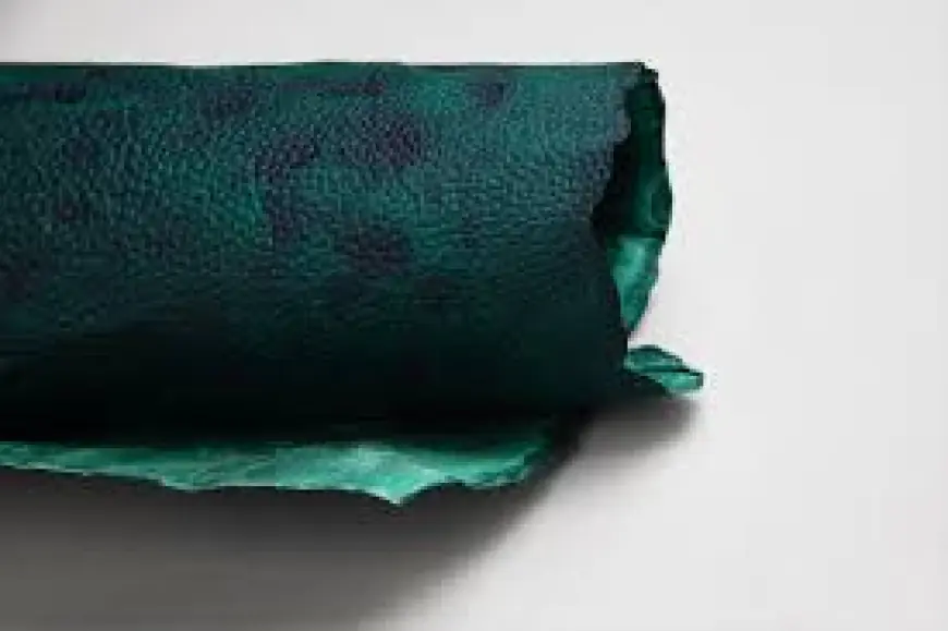 Bio Based Leather Market research highlighting investment trends and sustainable manufacturing adoption in global fashion industry