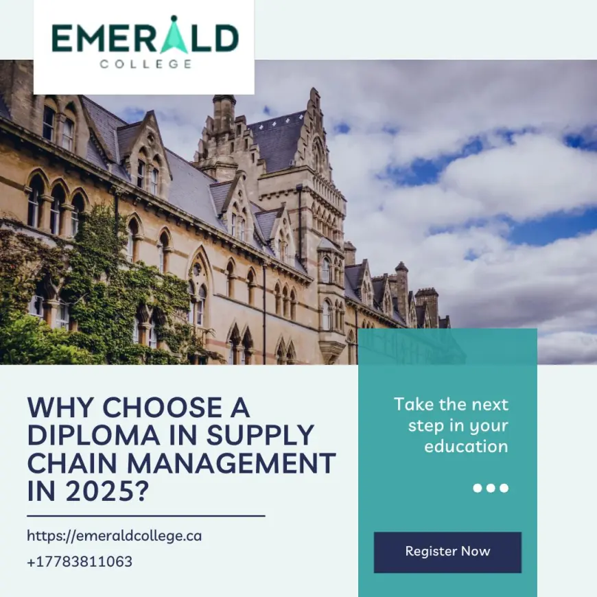 Why Choose a Diploma in Supply Chain Management in 2025?