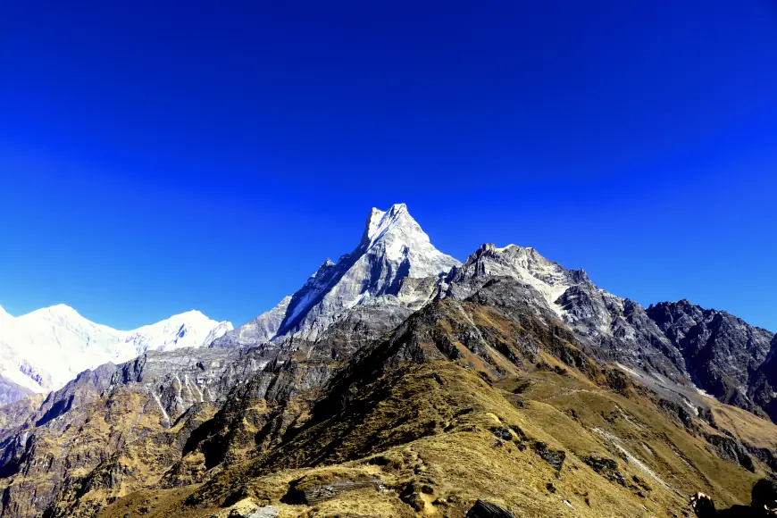10 Surprising Facts About Mardi Himal Trek Every Trekker Should Know