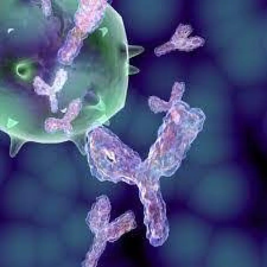 Biobetters Market research evaluating biologics innovation, strategic acquisitions, and therapeutic expansion worldwide