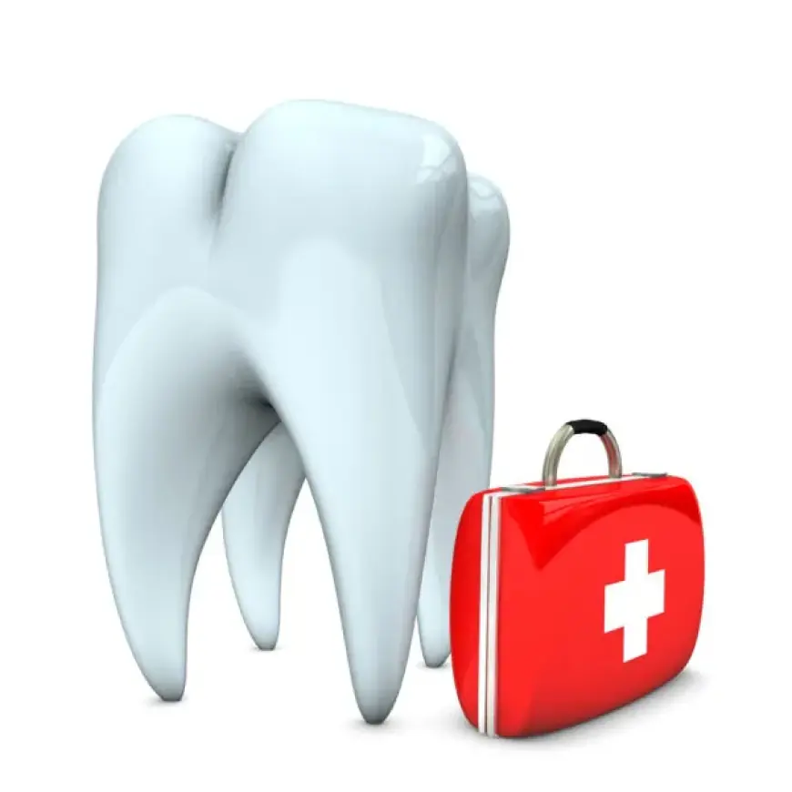 Dental Implants Largo Florida – Restore Your Smile with Blue Dental Largo