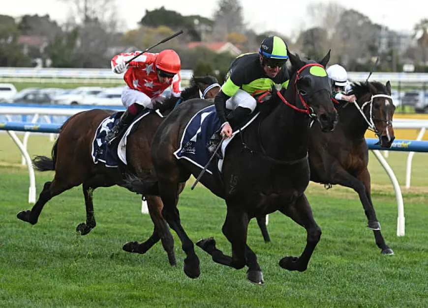 Exploring the Top Betting Sites Australia: A Complete Guide for 2025