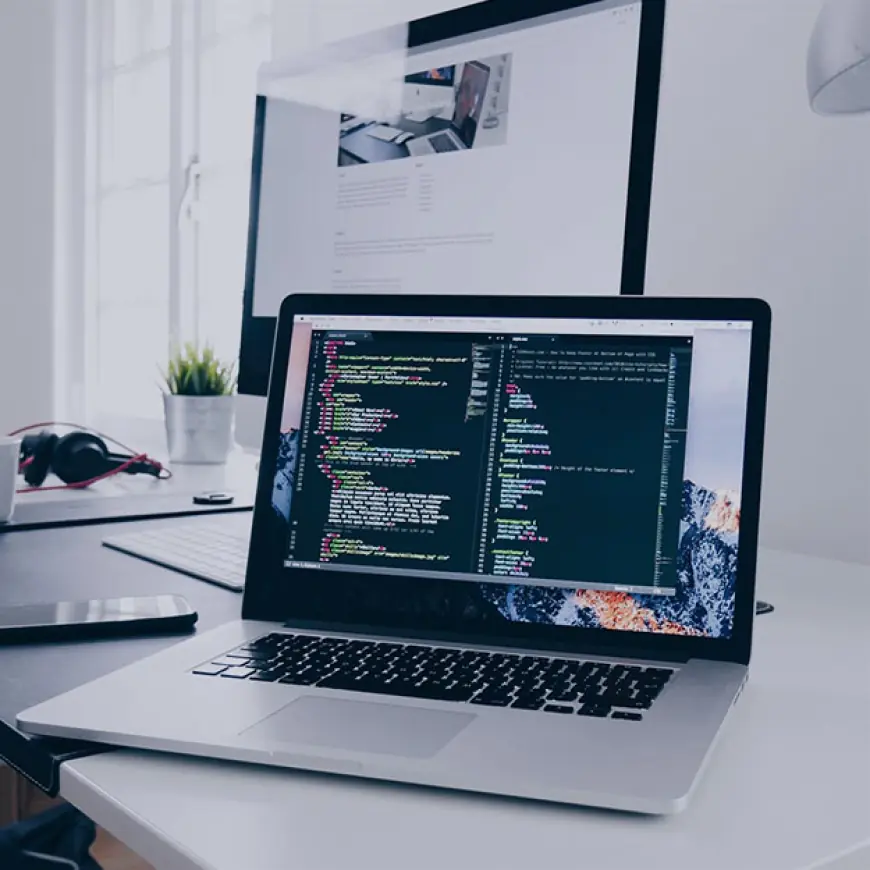 SEO Expert services Provider