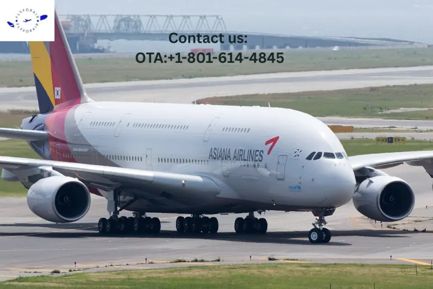 How do I talk to a real person at Asiana? Help That Travels With You