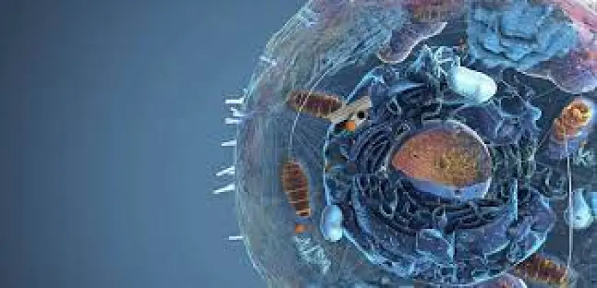 Biophotonics Market insights on technological development, market expansion, and biomedical imaging adoption worldwide