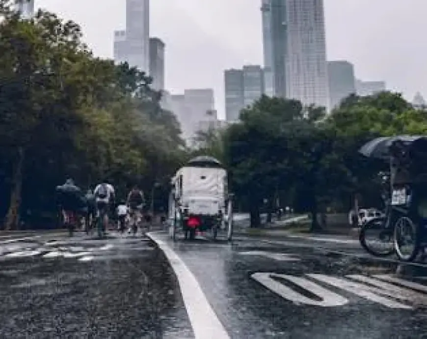 Why Do Couples and Families Love Central Park Carriage Tours?
