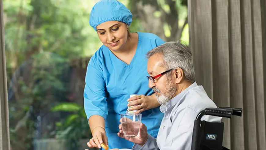Japan Home Care Market Growth, Share, and Trends Report 2025-2033