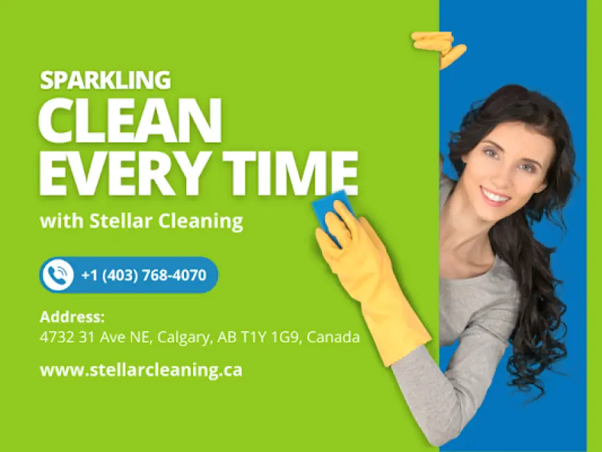 Carpet Care in Calgary AB: Professional Cleaning, Stain Removal & Maintenance Guide