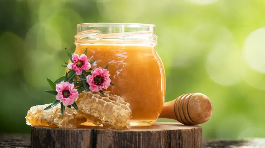 Manuka Honey Market Shifts Driving Global Demand for Natural Immunity Solutions