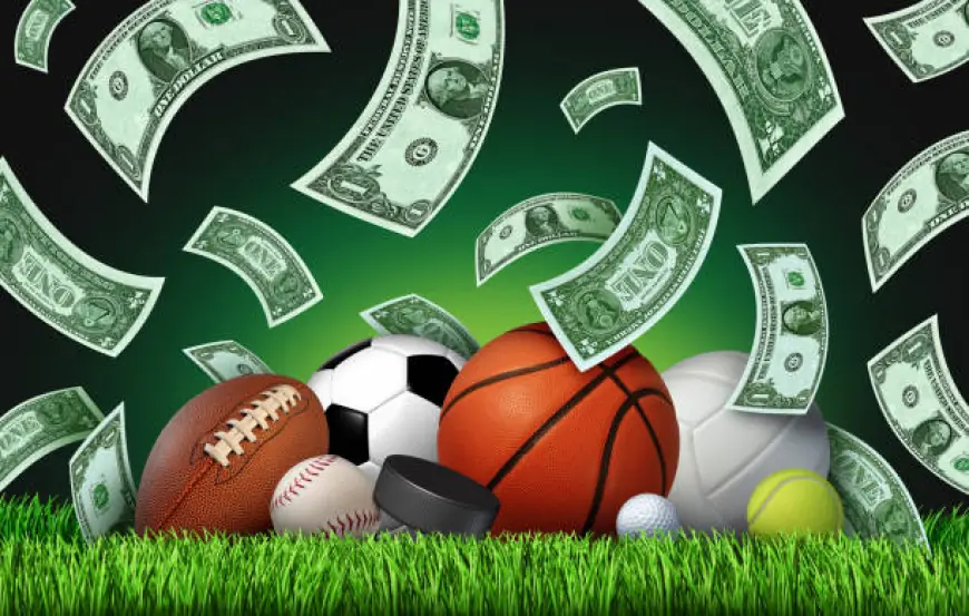 How Do I Complete Winbuzz Register Process for Online Betting?