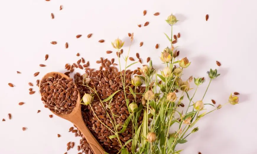 United States Oilseeds Market Size And Share Report 2034