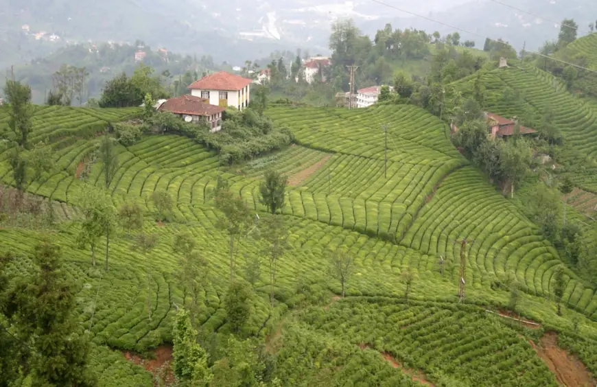 From Snowy Peaks to Cozy Cafés: Turkey Winter Travel Guide