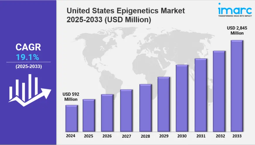 United States Epigenetics Market Size, Growth & Report 2033