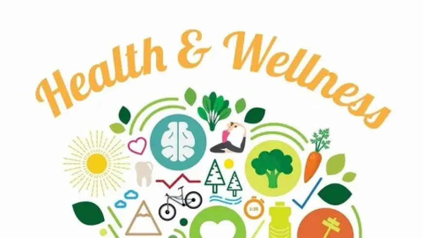 Health and Wellness Snacks Market Insights: Growth, Share, Value, Size, and Analysis