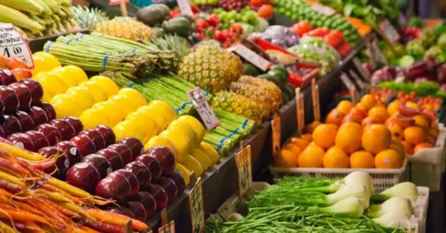 Fruit and Vegetable Pulp Market Insights: Growth, Share, Value, Size, and Analysis
