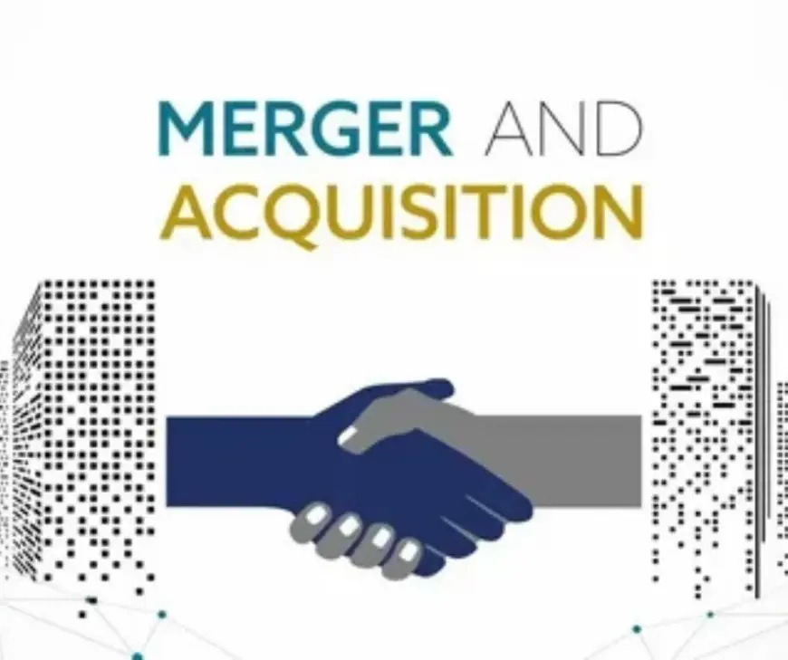 CDAP Consulting Agency | Digital Adoption Grants & Strategy