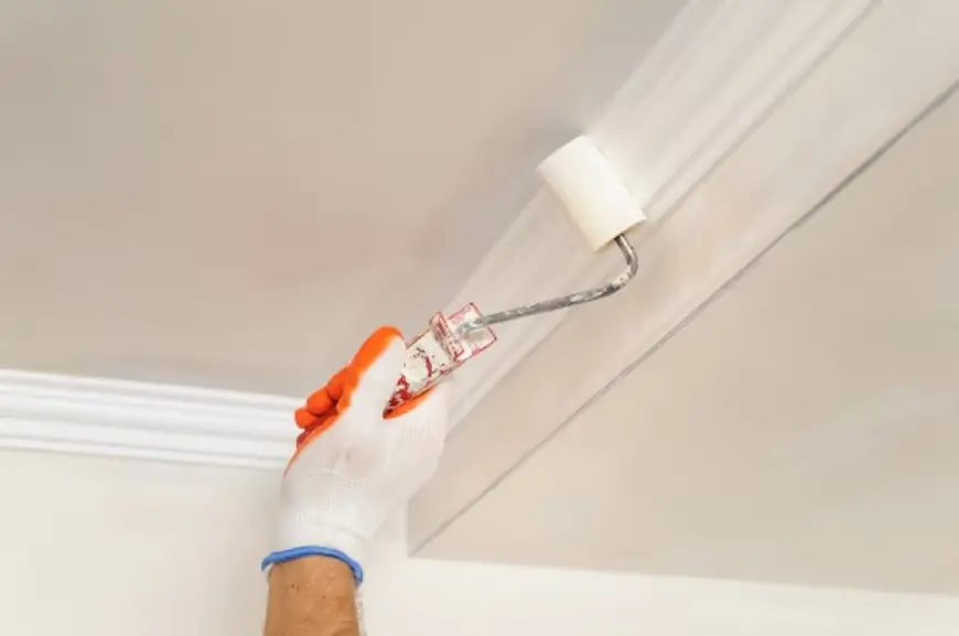 Zoomer Painting Brings a Fresh Look with Top-Notch Interior Painting Services