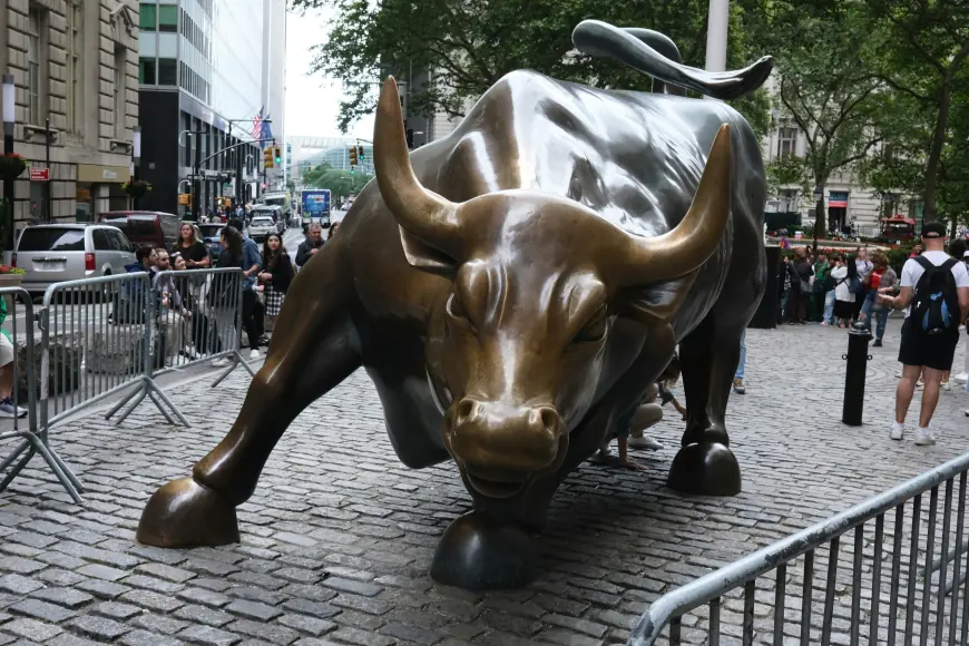 Elevate Your Finance Skills with a Stock Market Course